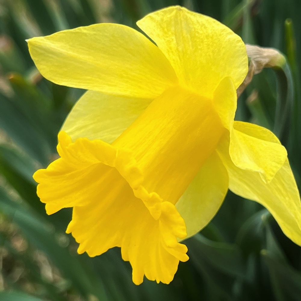 Meet your Posher, Ale